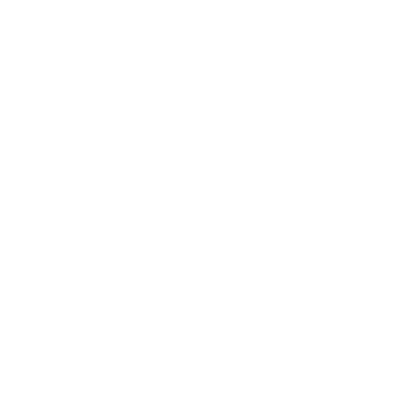 Günel Holding